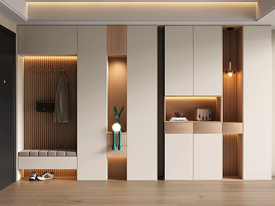 Modern Shoe Cabinet Interior With Hanging Area Bench And Storage Lighting 3d model