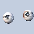 Two Human Eyeballs With Natural Eyelashes And Varied Sclera Colors