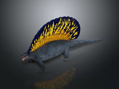 Gray Prehistoric Dinosaur With Blue And Yellow Fan Shaped Sail And Open Mouth 3d model