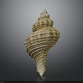 Elegant Natural Marine Shell With Spiral Shape And Intricate Textured Surface