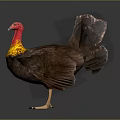 Flying Turkey With Red Head Yellow Red Neck Brown Feathers Fanned Tail on Gray Background