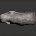 3D Rendered Realistic Elephant Standing With Detailed Texture On Gray Background