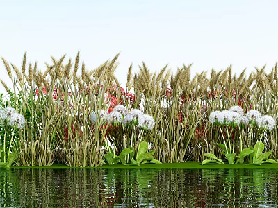 Modern plants and flowers 3d model Modern plants and flowers 3d model