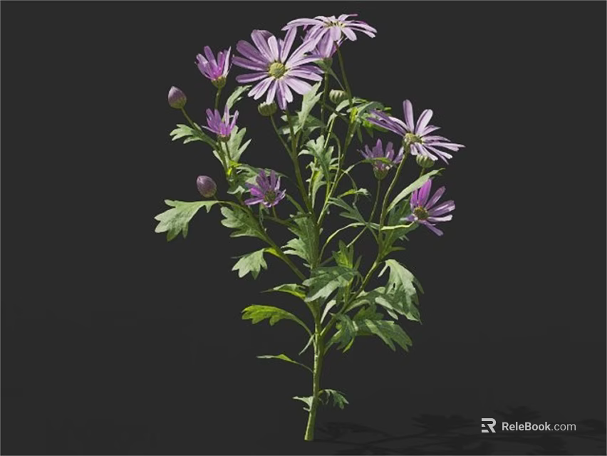 Purple Flowers With Multiple Blooms Green Leaves And Fresh Buds On Stems 3d model 