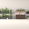 Various Green And Flowering Plants In Different Planters And Flower Boxes Against Light Colored Wall