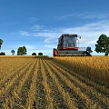 Beautiful Rural Harvest Scenery With Combine Harvester In Golden Wheat Field Under Clear Blue Sky