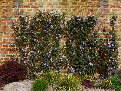 Climbing Vines Covering Brick Wall With Purple Flowers And Surrounding Green Plants Rocks 3d model