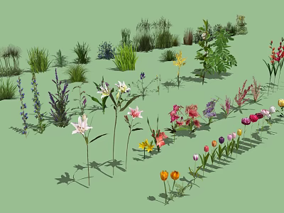 Colorful Assorted Flowers And Green Herbaceous Plants With Foliage In Garden 3d model