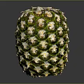 Fresh Pineapple with Green Yellow Skin and Scaly Texture on Dark Background