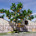Natural Stone Landscape Wall with Clay Pots Orange Trees Bearing Fruits and Blue Sky