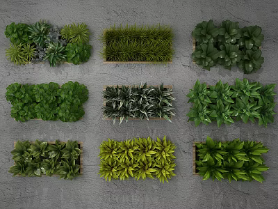 Various Green Plant Wall Designs With Different Plant Species And Arrangements 3d model