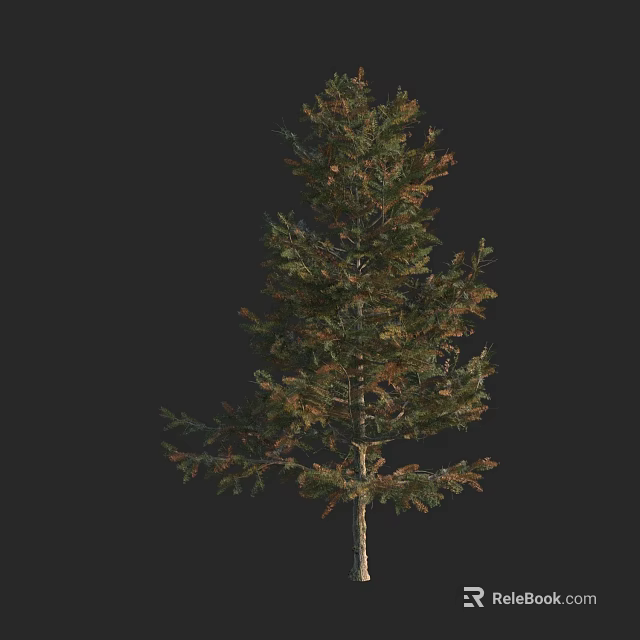 Arbor Tree With Green And Brown Foliage And Trunk Isolated On Black Background 3d model 
