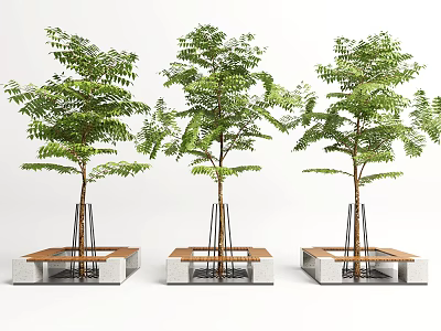 Three Trees In Modern Tree Planters With Concrete Wooden Structure And Metal Supports 3d model
