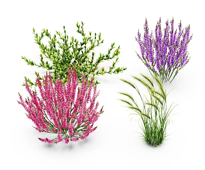 Modern flowers flowers and plants 3d model