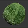 Fresh Green Cabbage With Prominent Veined Texture On Dark Background And Reflection 3d model