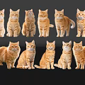 Orange Cats In Various Poses On Black Background With Reflections 3d model
