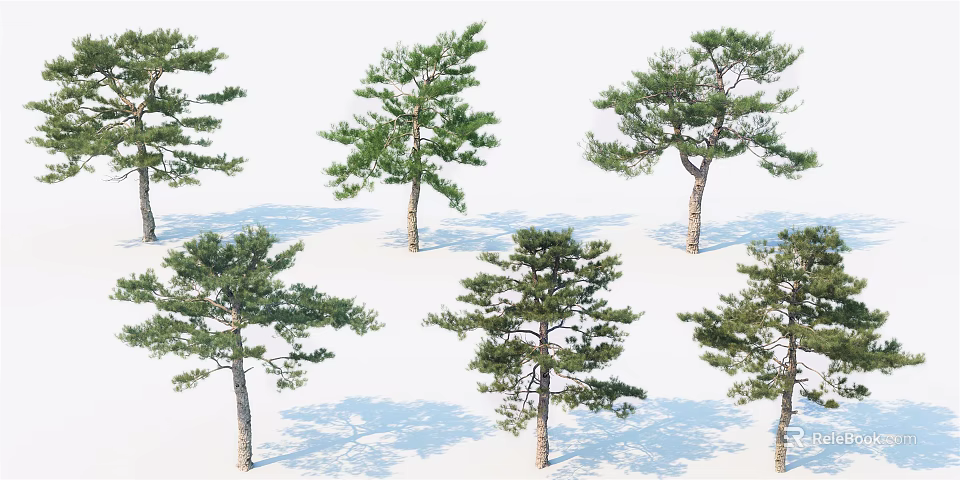 Different Types of Arbor Trees With Green Foliage And Natural Shapes 3d model 