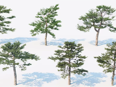 Different Types of Arbor Trees With Green Foliage And Natural Shapes 3d model