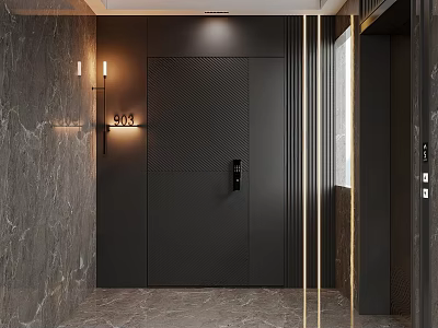 Modern Entryway Design With Black Door Marble Walls Wall Lamps And Golden Lines 3d model
