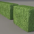 Two Well Trimmed Green Rectangular Shrubs In Block Shape For Garden Landscaping