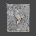 Dead Deer Carcass Found Lying on Gravel Ground With Scattered Feathers
