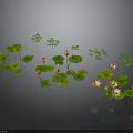 Beautiful Lotus Flowers And Green Leaves Floating On Water Surface With Small Plants