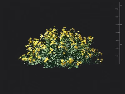 Lush Green Shrub With Bright Yellow Flowers And Height Measurement Scale 3d model