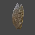 Natural Turtle Shell With Intricate Patterns Detailed Texture And Earthy Tones 3d model