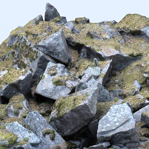 Stone stone pile moss stone moss rockery 3d model