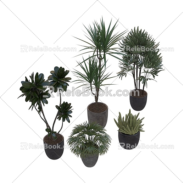 Modern potted green plants potted plants bonsai plant combination 3D model 626 3d model