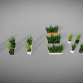 Green Indoor Plants with Various Colored and Different Shaped Planters for Home Decor