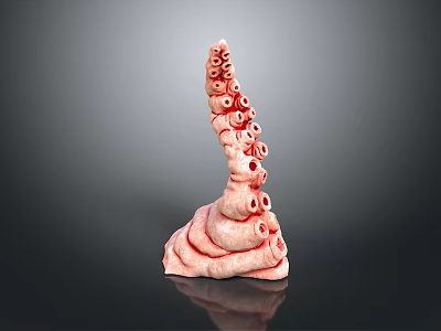 Octopus whisker cuttlefish squid octopus 3d model