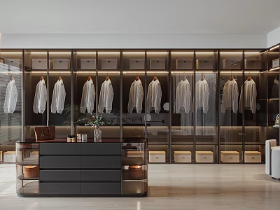 Elegant Modern Walk in Closet Interior With Hanging White Shirts And Glass Door Cabinets 3d model