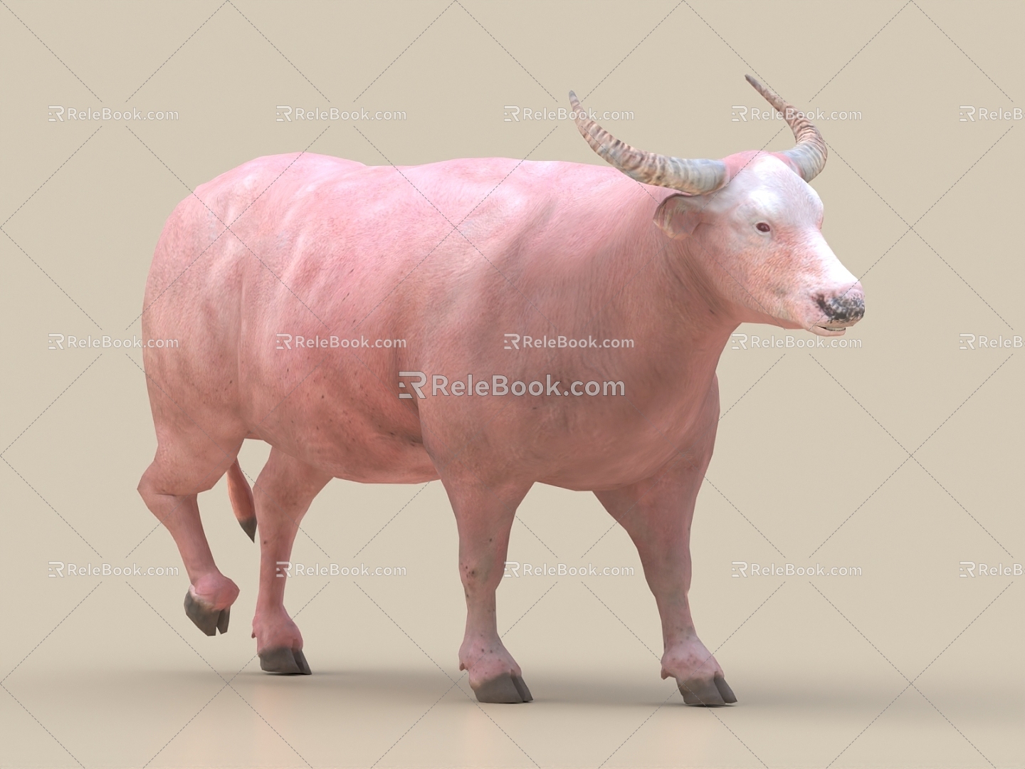 cattle buffalo cow 3d model