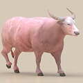 cattle buffalo cow 3d model