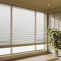 Modern Window Blinds In Bright Interior With Natural Light And Green Plant