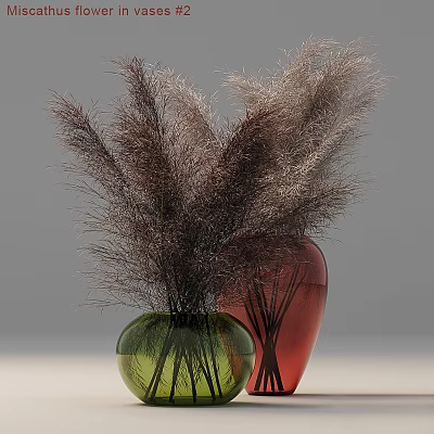 Decorative Ornament Set with green and red vases holding pampas grass for home interior 3d model