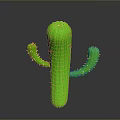 Green Cactus Plant With Yellow Spines Upright Stem And Branching Arms