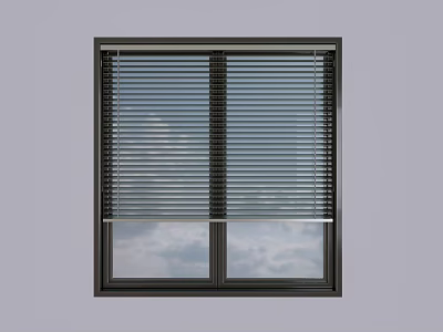 Modern Window Blinds On Double Window With Sky And Clouds View 3d model