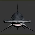 Realistic Hammerhead Shark 3D Rendering With Grey Body Open Mouth And Shiny Surface