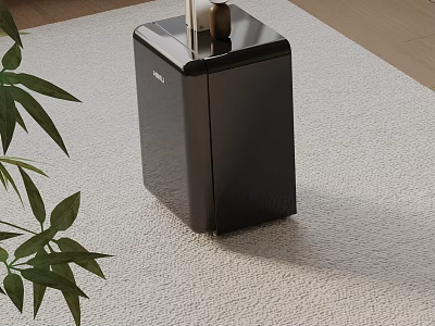 Sleek Modern Black Nightstand With Smooth Surface Wooden Decor And Green Plant 3d model