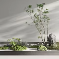 Indoor Zen Landscape With Small Tree Rocks Moss And Sand Arrangement