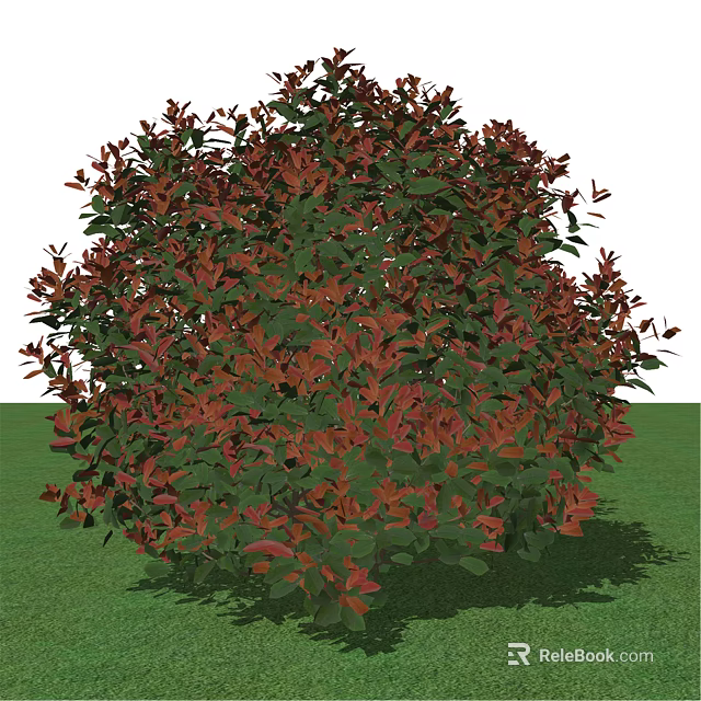 Lush Bonsai Plant With Red Green Leaves And Rounded Shape On Grass 3d model 