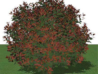 Lush Bonsai Plant With Red Green Leaves And Rounded Shape On Grass 3d model