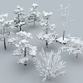 Various Snow Covered Arbor Trees With Different Shapes In Winter Landscape 3d model