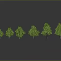Six Green Trees of Various Sizes Against Gray Background With Reflections on Ground
