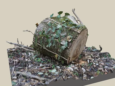 Ivy Covered Tree Stump Surrounded by Fallen Leaves and Twigs 3d model