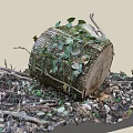tree arbor big tree sky big tree giant tree landscape tree plant vegetation scanning tree stump scanning big tree 3d model