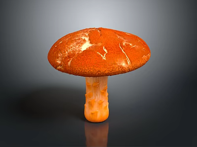 Detailed Orange Mushroom With Cracked Cap And Textured Stem 3d model