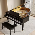 Black Grand Piano With Matching Bench On Soft Rug In Bright Room